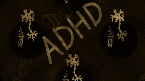 Is Adult ADHD Real? Most Common Misunderstandings About ADHD Explained 4