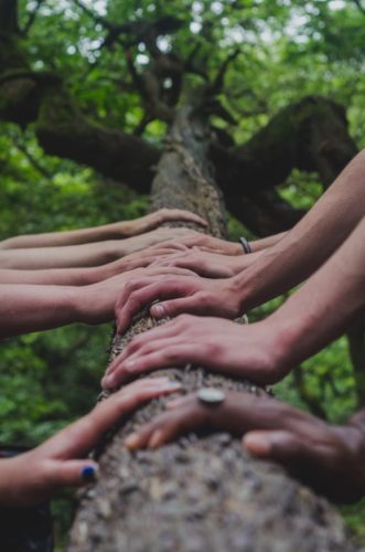 Finding Your Tribe: Healing Rejection and Abandonment Through Created Community 2