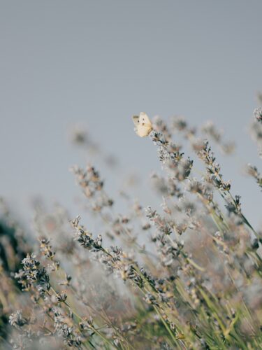 How Grief Works When You Have ADHD 3