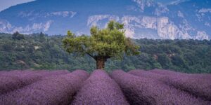 How to Identify and Heal from a Codependent Relationship 1