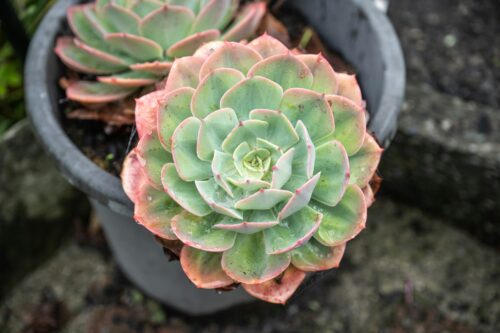 Avoiding Toxic Positivity in Grief 2